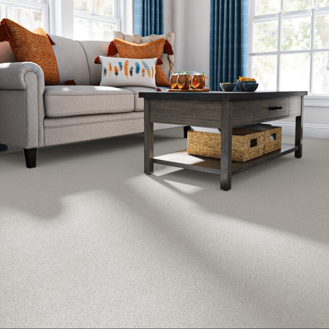 STAINMASTER PetProtect 7L88100550 Carpet-Panel - View #2