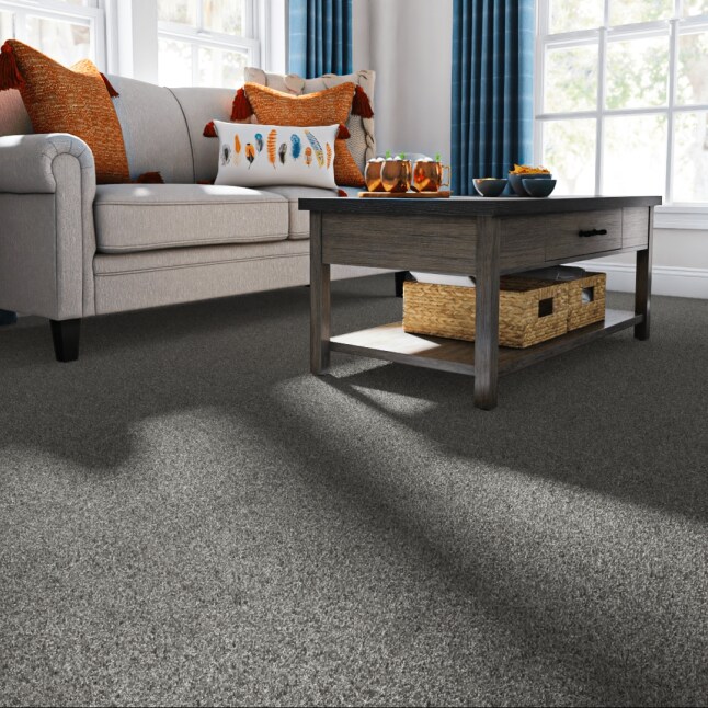 STAINMASTER 7L878 - 540 - SAMP Carpet-Samples - View #2