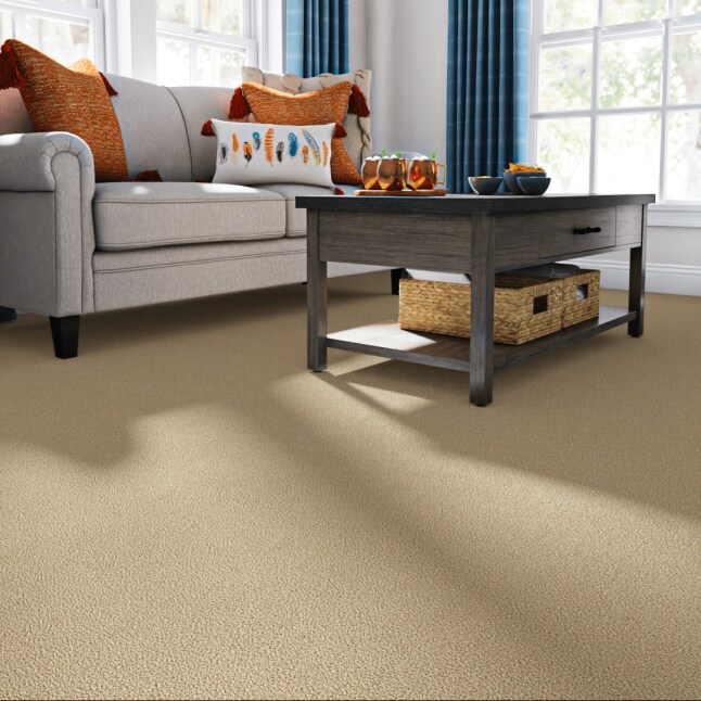 STAINMASTER PetProtect STP56-L023-0808 Carpet-Samples - View #2