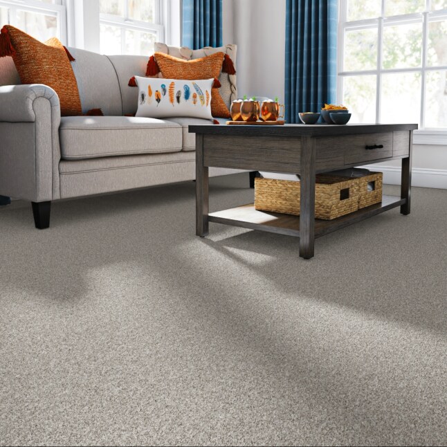 STAINMASTER 7L89600508 Carpet-Panel - View #2
