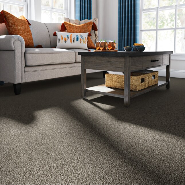 STAINMASTER STP62-12-L005 Carpet-Panel - View #2
