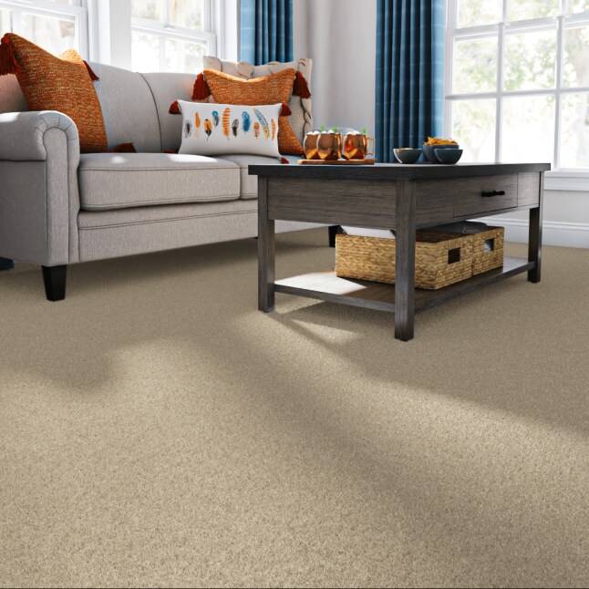 STAINMASTER 7L76900102 Carpet-Panel - View #2