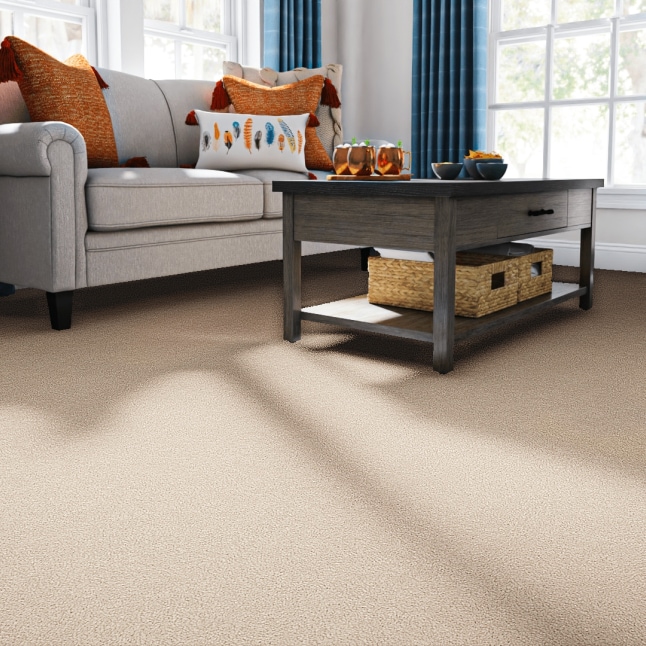 STAINMASTER PetProtect 7L883 - 110 - SAMP Carpet-Samples - View #2