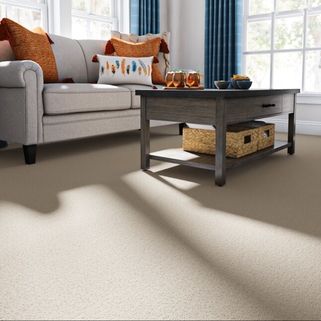 STAINMASTER STP70-15-L015 Carpet-Panel - View #2