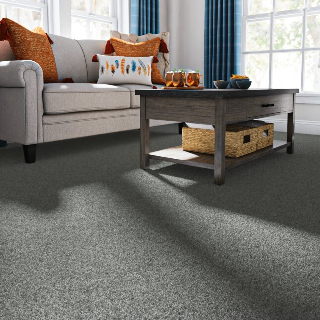 STAINMASTER 7L870 - 400 - SAMP Carpet-Samples - View #2