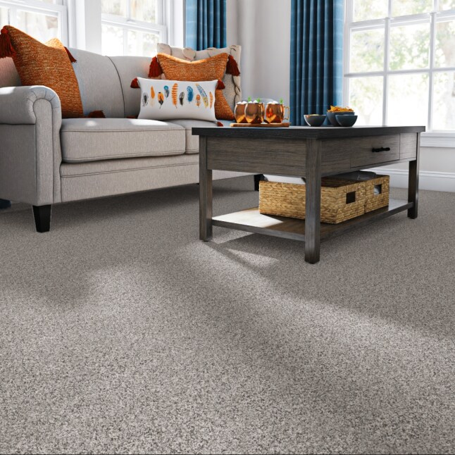 STAINMASTER 7L85500533 Carpet-Panel - View #2