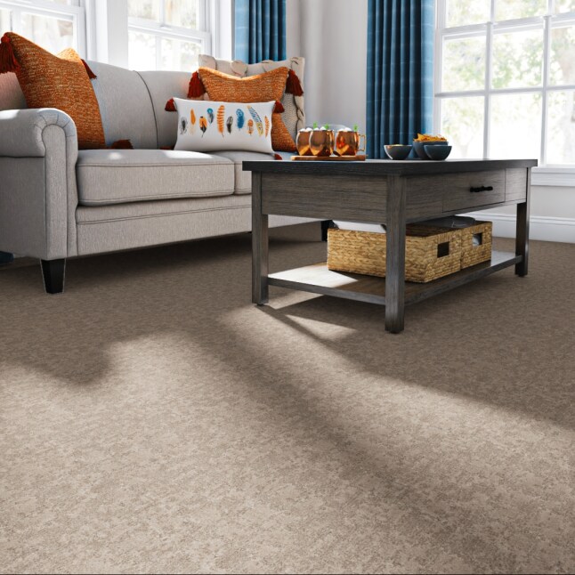 STAINMASTER STP64-12-L013 Carpet-Panel - View #2