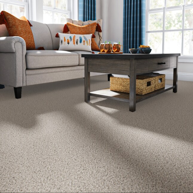 STAINMASTER CCV07-L006-0808 Carpet-Samples - View #2