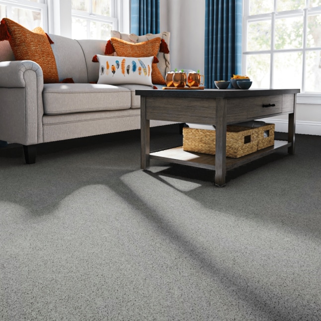 STAINMASTER SS002-12-L002 Carpet-Panel - View #2