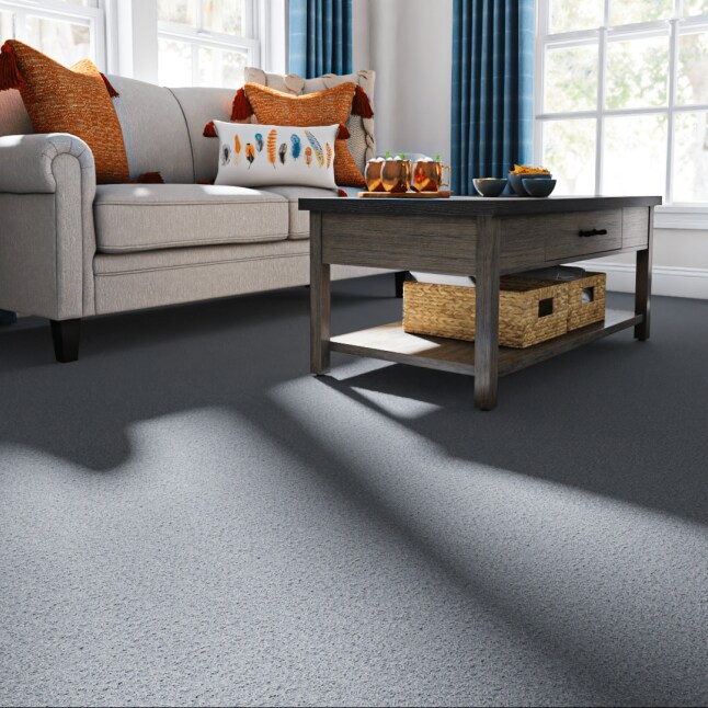 STAINMASTER STP66-15-L011 Carpet-Panel - View #2