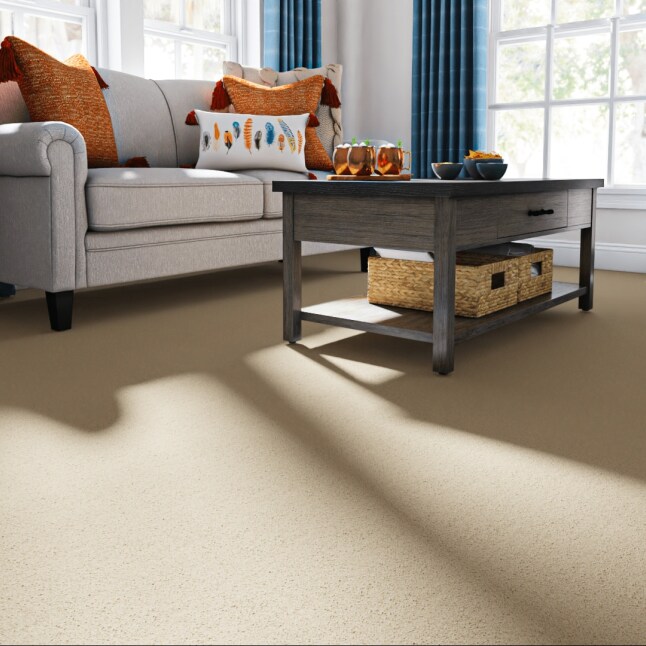 STAINMASTER PetProtect STP55-L012-0808 Carpet-Samples - View #2