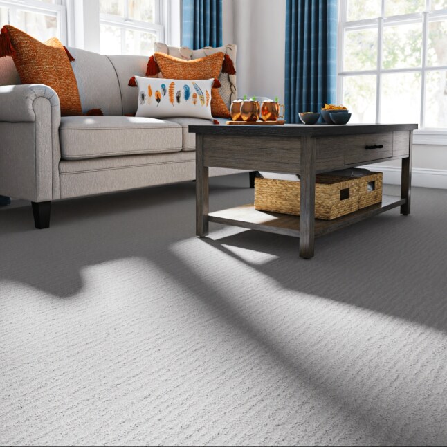 STAINMASTER 7L889 - 500 - SAMP Carpet-Samples - View #2