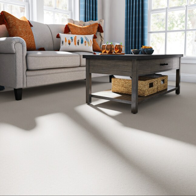 STAINMASTER PetProtect 7L891 - 101 - SAMP Carpet-Samples - View #2