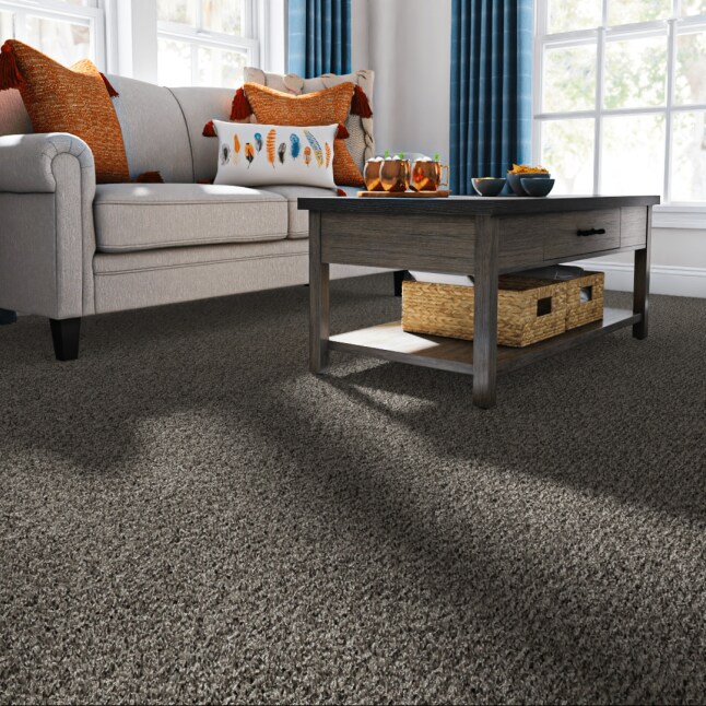 STAINMASTER LU436-W0029-1200-AB Carpet-Panel - View #2