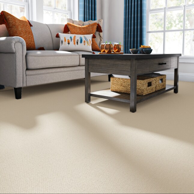 STAINMASTER 7L905 - 182 - SAMP Carpet-Samples - View #2