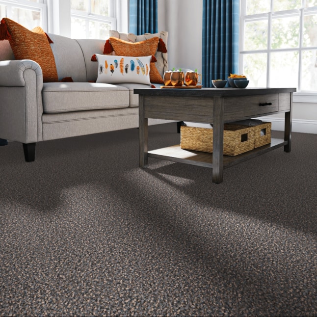 STAINMASTER S7243-112-1200-AB Carpet-Panel - View #2