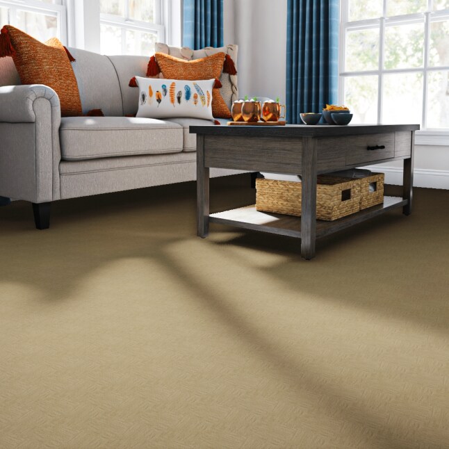 STAINMASTER LW187-12-L001 Carpet-Panel - View #2