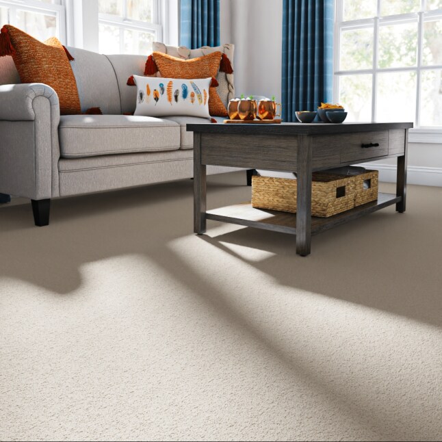 STAINMASTER STP66-15-L010 Carpet-Panel - View #2