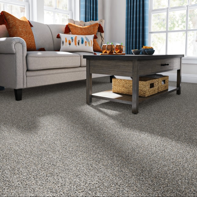 STAINMASTER 7L85500523 Carpet-Panel - View #2