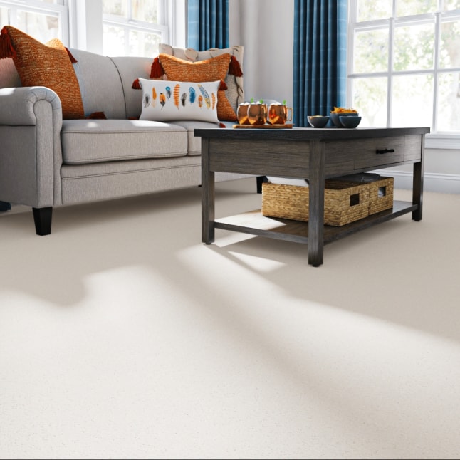 STAINMASTER PetProtect STP56-L006-0808 Carpet-Samples - View #2