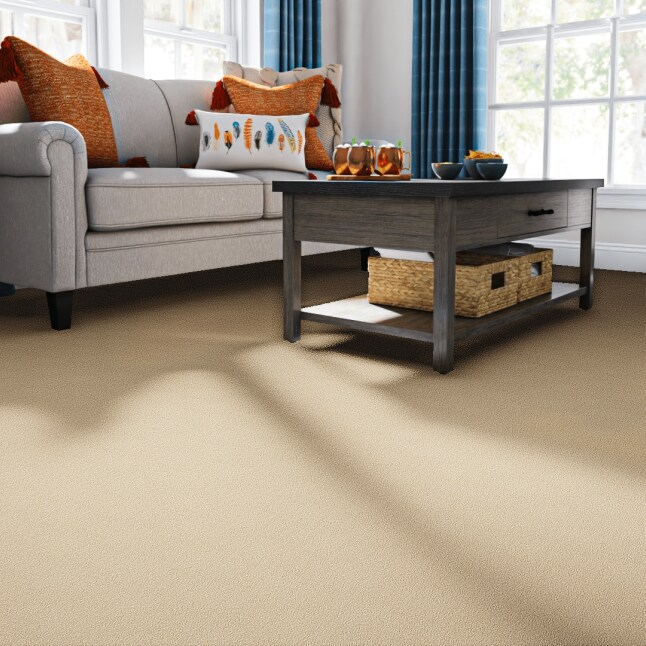 STAINMASTER PetProtect 7L882 - 106 - SAMP Carpet-Samples - View #2