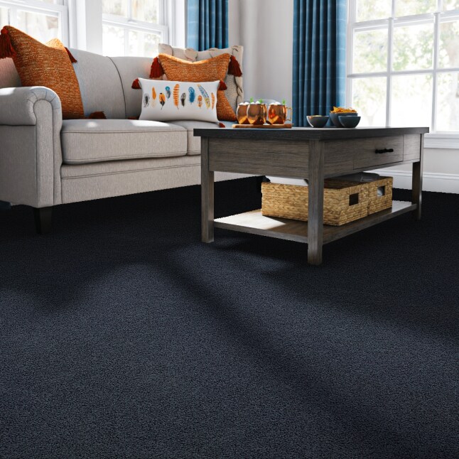 STAINMASTER 7L79200424 Carpet-Panel - View #2