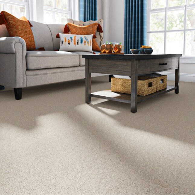 STAINMASTER PetProtect STP56-12-L008 Carpet-Panel - View #2