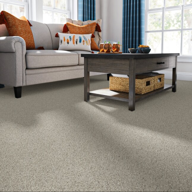 STAINMASTER 7L7970128T Carpet-Panel - View #2