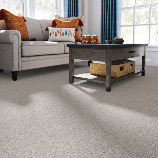 STAINMASTER 7L89500508 Carpet-Panel - View #2