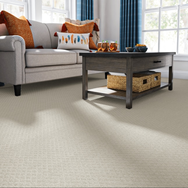 STAINMASTER 7L90400570 Carpet-Panel - View #2