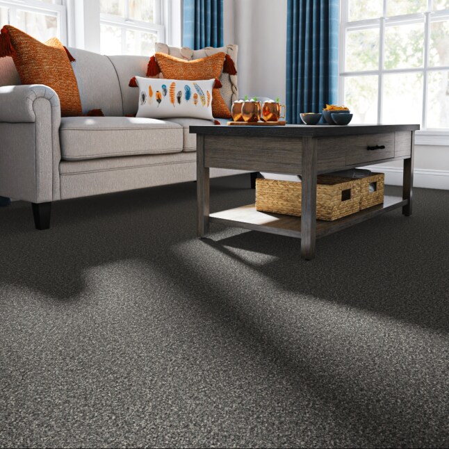 STAINMASTER LU483-W4123-1200-AB Carpet-Panel - View #2