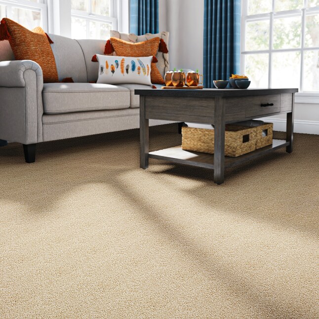 STAINMASTER S9059-727-S Carpet-Samples - View #2