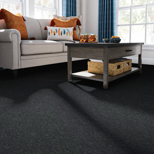 STAINMASTER 7L86600502 Carpet-Panel - View #2