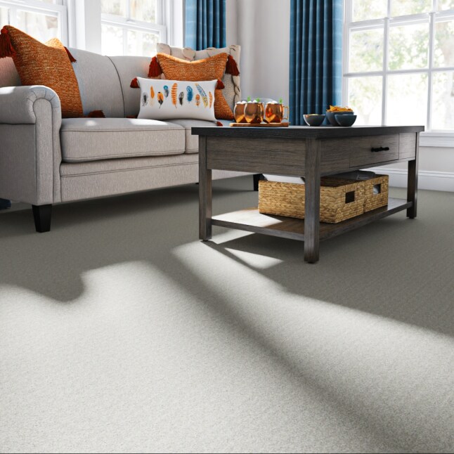 STAINMASTER 7L888 - 105 - SAMP Carpet-Samples - View #2