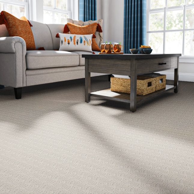 STAINMASTER STP23-L002-0808 Carpet-Samples - View #2