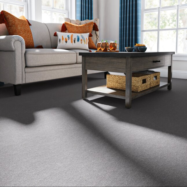STAINMASTER PetProtect 7L89000502 Carpet-Panel - View #2