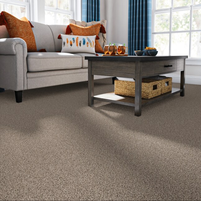 STAINMASTER PetProtect 7L85900756 Carpet-Panel - View #2