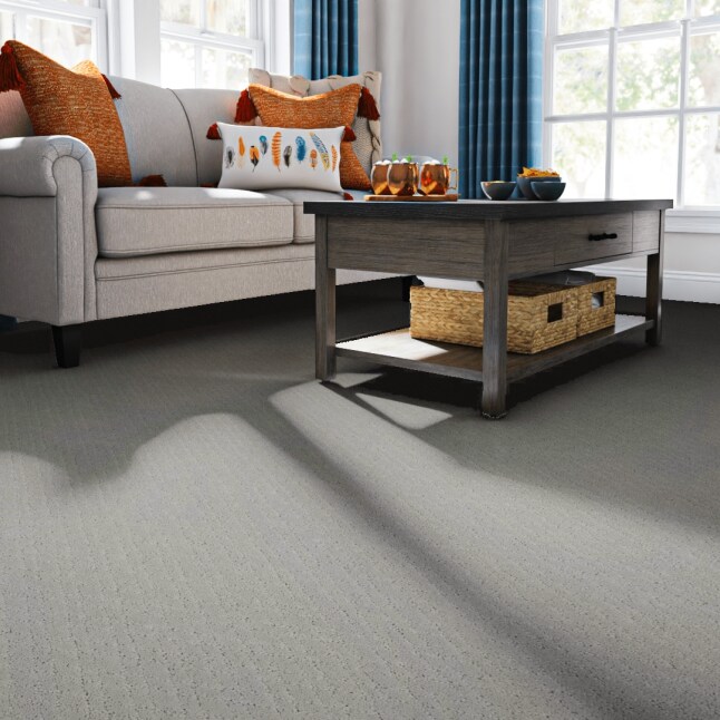 STAINMASTER PetProtect 7L900 - 541 - SAMP Carpet-Samples - View #2