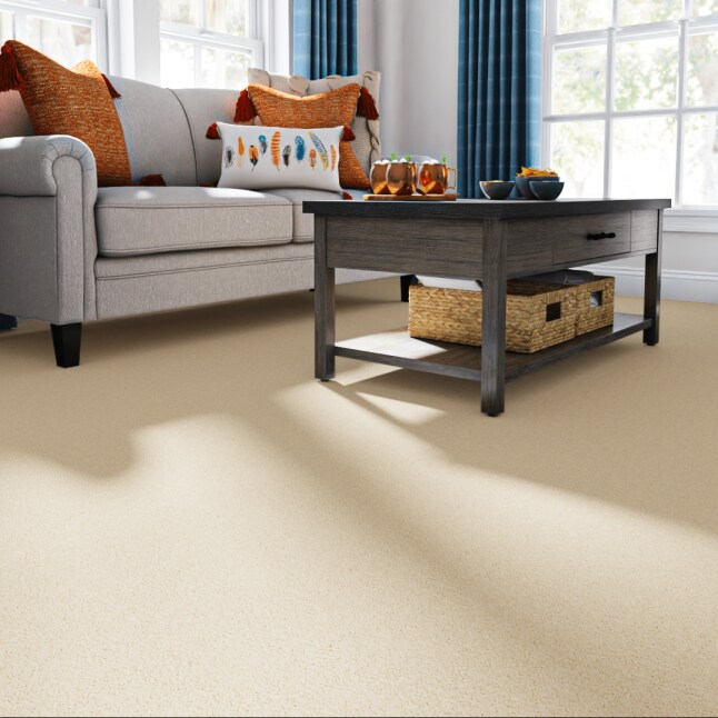 STAINMASTER PetProtect STP56-L012-0808 Carpet-Samples - View #2
