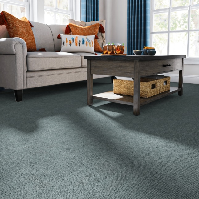 Foss 7RD4N670144L Carpet-Panel - View #2