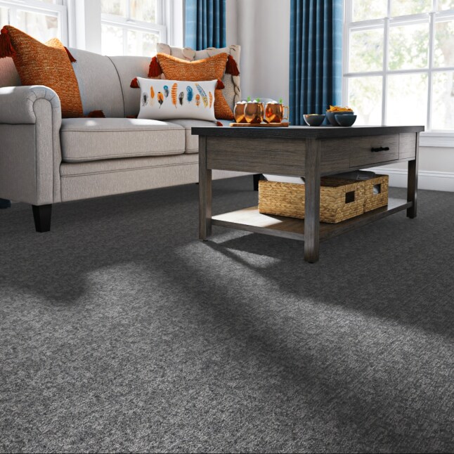 STAINMASTER LU760-W4116-1200-AB Carpet-Panel - View #2