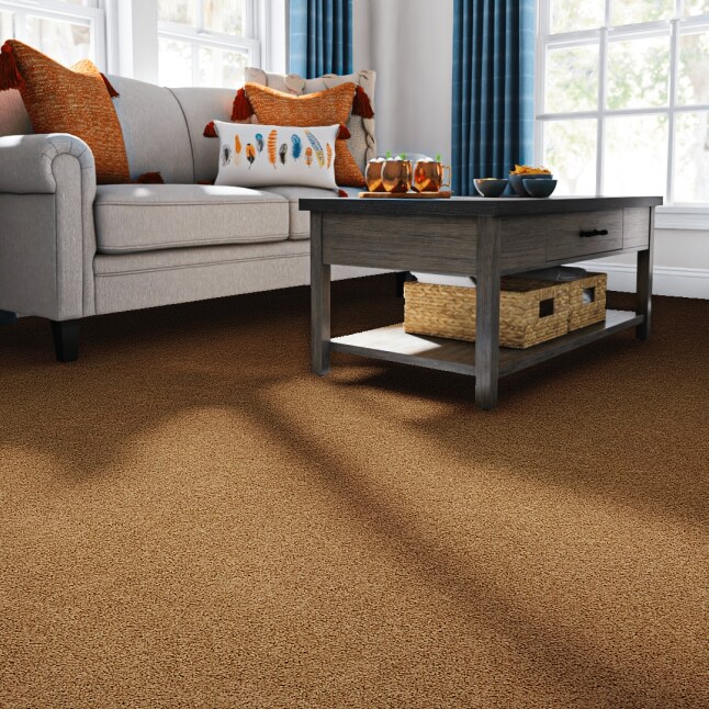 STAINMASTER STP36-12-L010 Carpet-Panel - View #2