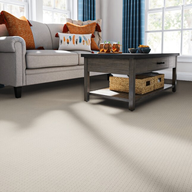 STAINMASTER 7L874 - 552 - SAMP Carpet-Samples - View #2