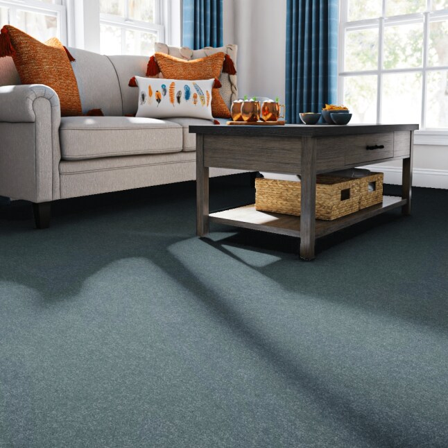 STAINMASTER 7L86300403 Carpet-Panel - View #2