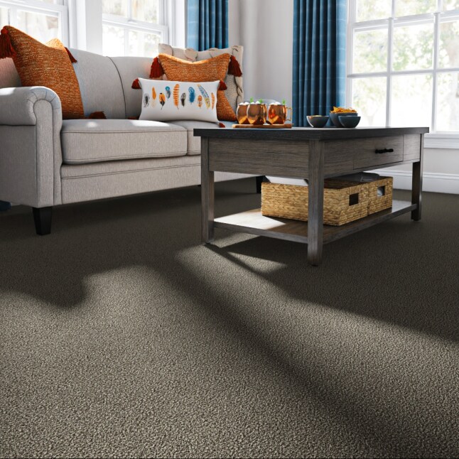 STAINMASTER STP61-L005-0808 Carpet-Samples - View #2
