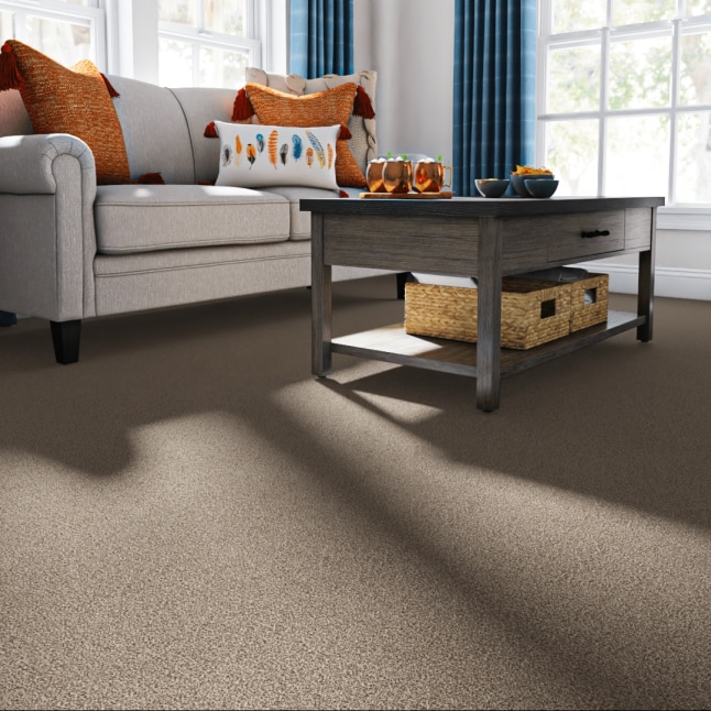 STAINMASTER PetProtect STP55-L014-0808 Carpet-Samples - View #2