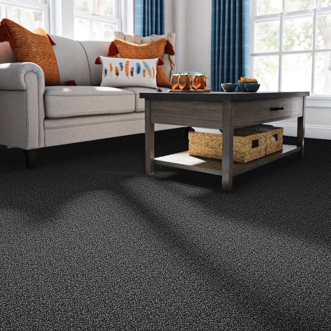 STAINMASTER S9753-988-1200-MO Carpet-Panel - View #2