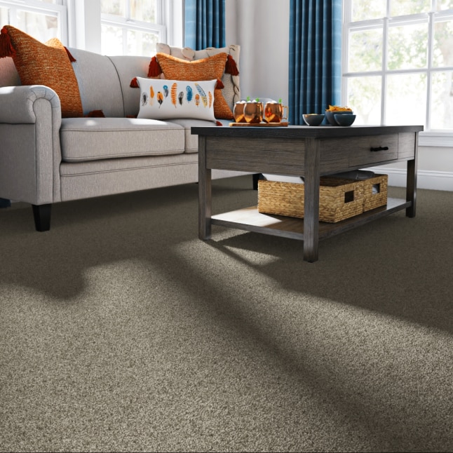 STAINMASTER 7L87000502 Carpet-Panel - View #2