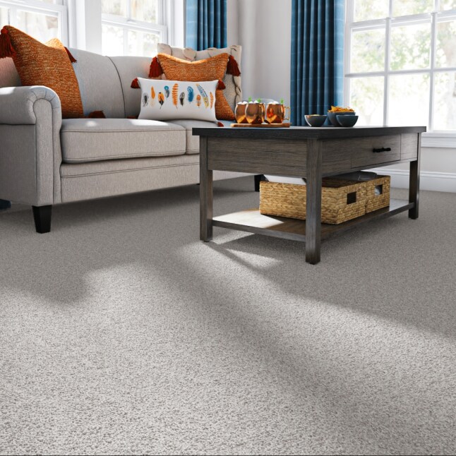 STAINMASTER 7L86700508 Carpet-Panel - View #2