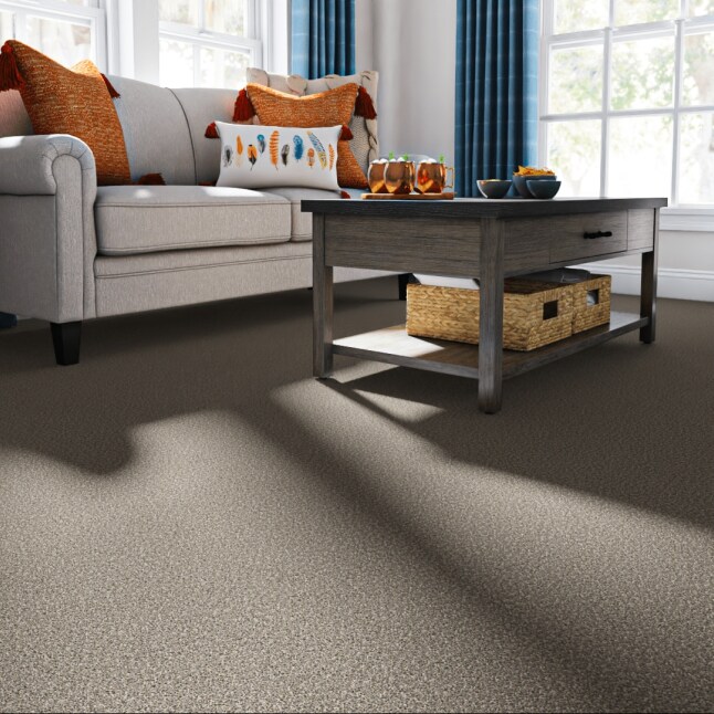 STAINMASTER PetProtect S9066-922-1200-MO Carpet-Panel - View #2